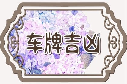如何读本页结果