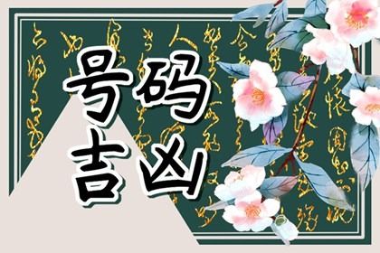 数理分如何理解