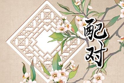 日支定夫妻宫:合与冲