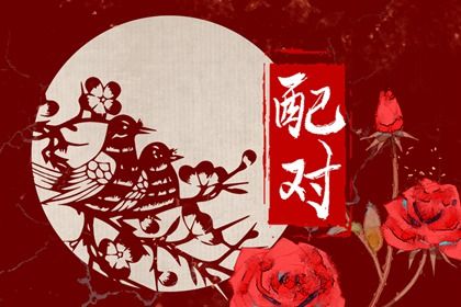 流年合婚：动态视角