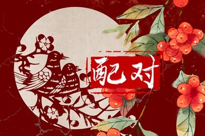 纳音配对：比和、相生与平衡