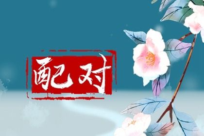 纳音配对：比和、相生与平衡