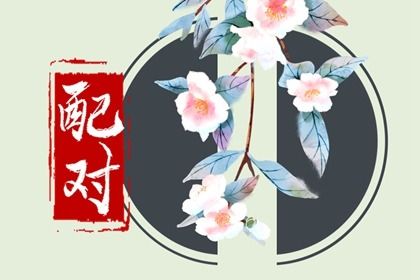 现代婚恋中的合婚角色