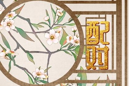 星座配对(民俗参考)