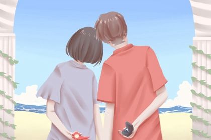 理想对象类型