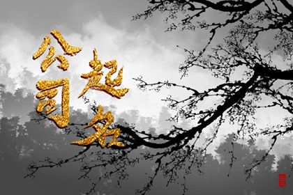 数字化取名的合理用法