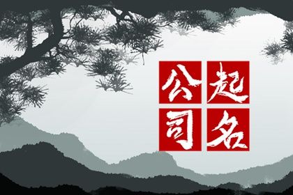 公司起名通则