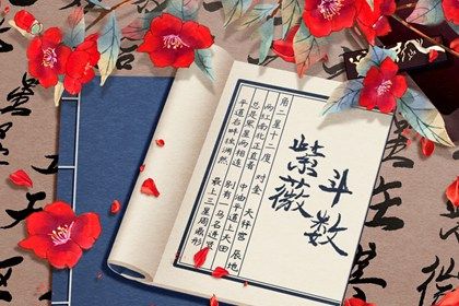 在线排盘看什么