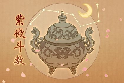 如何读本页结果